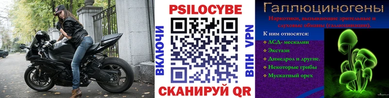 Псилоцибиновые грибы Psilocybine cubensis Арамиль